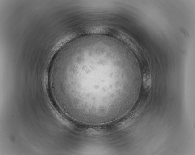 X0000110900725200906181322