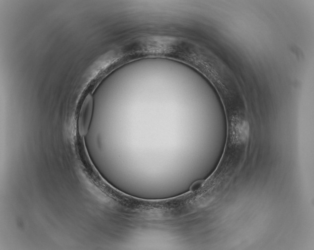 X0000110900726200906181322