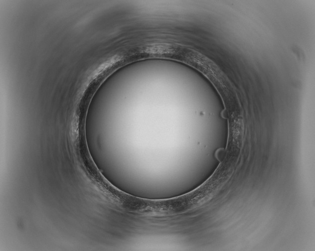 X0000110900727200906181322