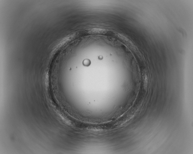 X0000110900729200906181322