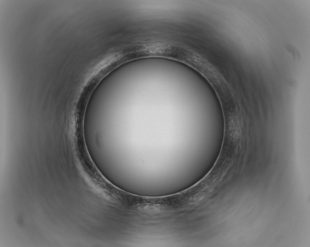 X0000110900730200906181322