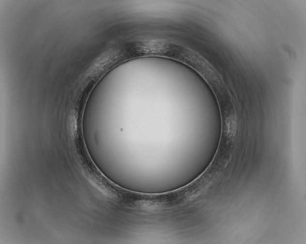 X0000110900733200906181322