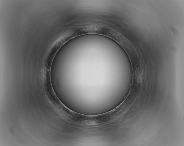 X0000110900735200906181322