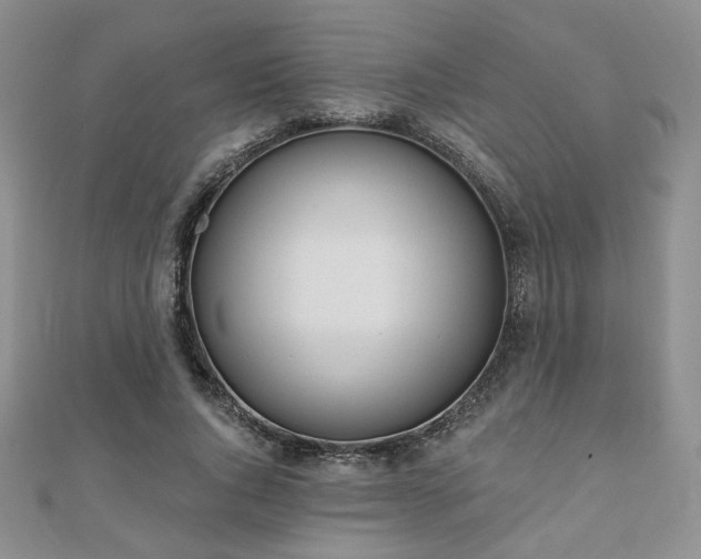 X0000110900736200906181322