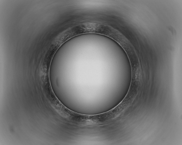 X0000110900737200906181322