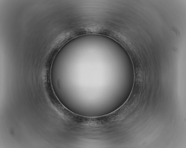 X0000110900738200906181322