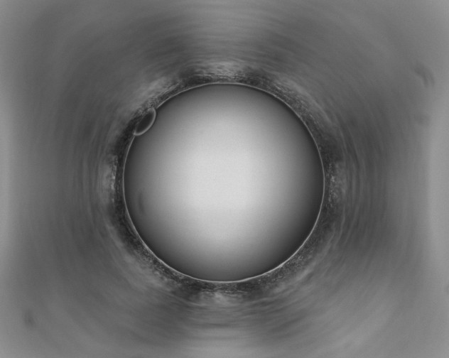 X0000110900739200906181322