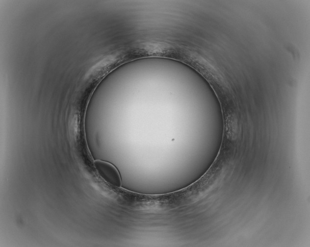 X0000110900740200906181322
