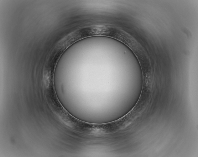 X0000110900741200906181322