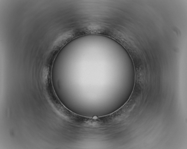 X0000110900742200906181322
