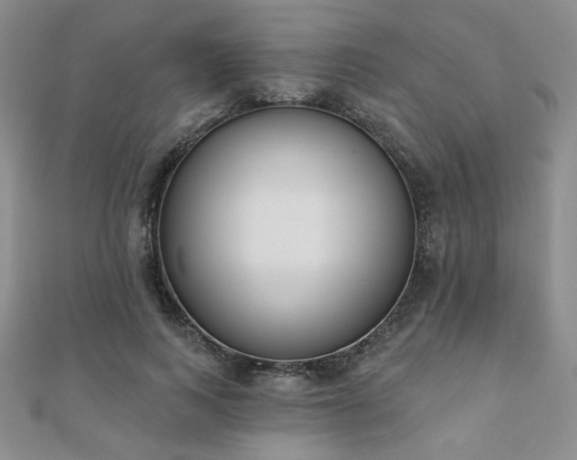 X0000110900743200906181322