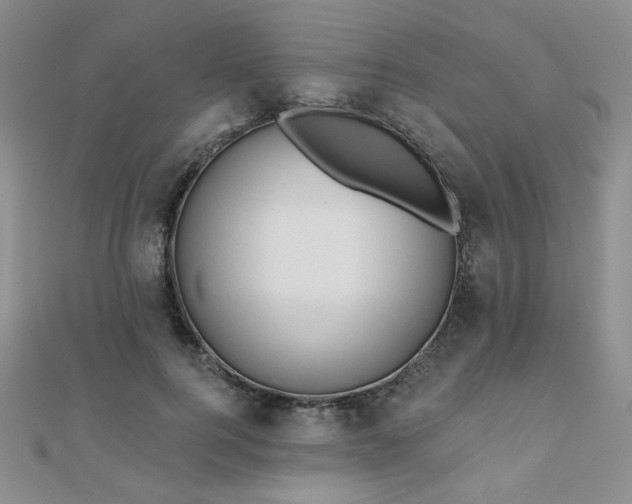 X0000110900744200906181322