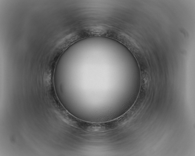 X0000110900745200906181322