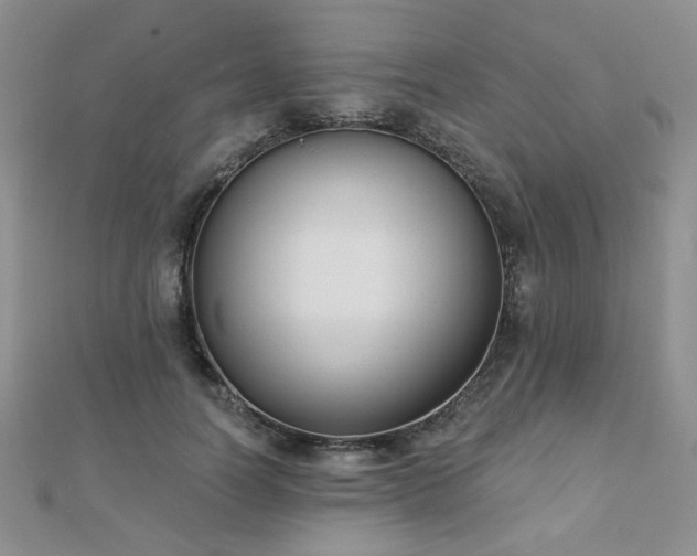 X0000110900746200906181322