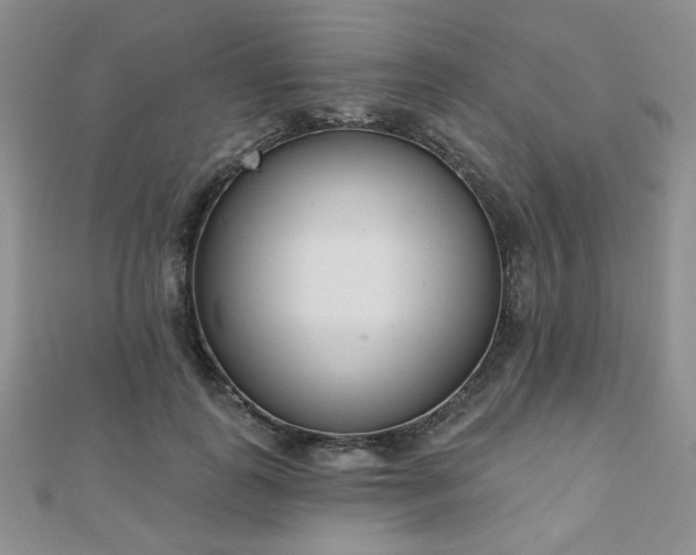 X0000110900747200906181322
