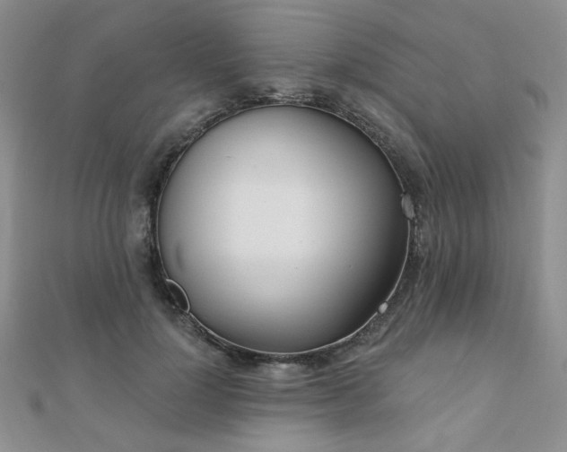 X0000110900748200906181322