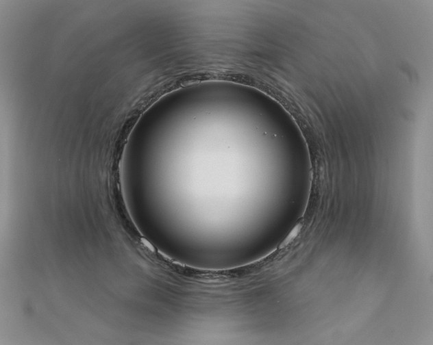 X0000110900750200906181322