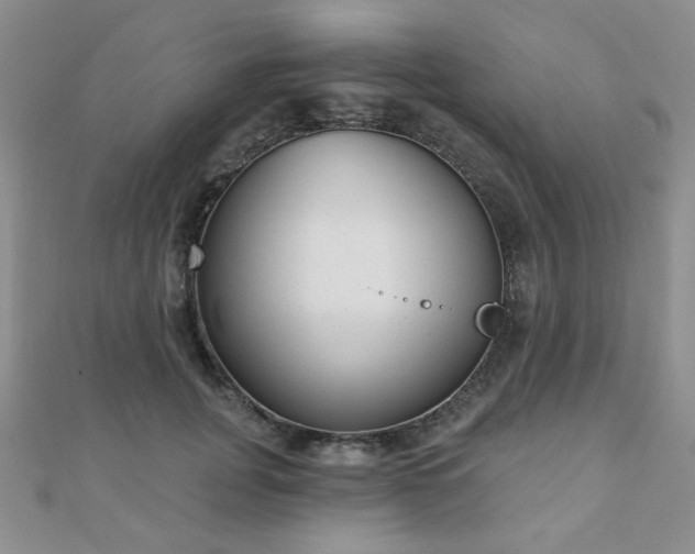 X0000110900751200906181322