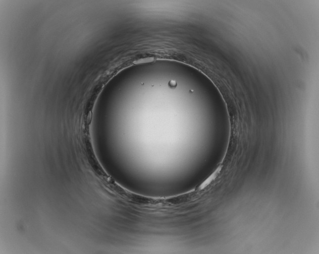 X0000110900752200906181322