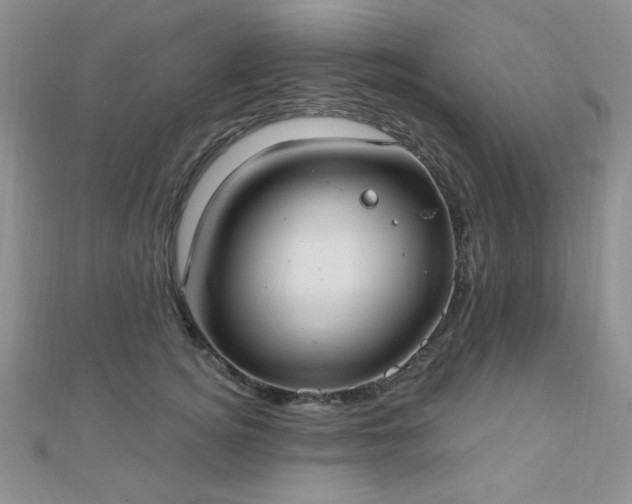 X0000110900756200906181322
