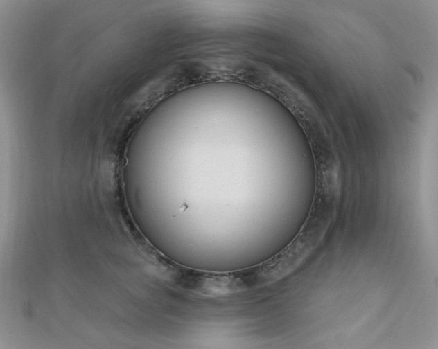 X0000110900757200906181322