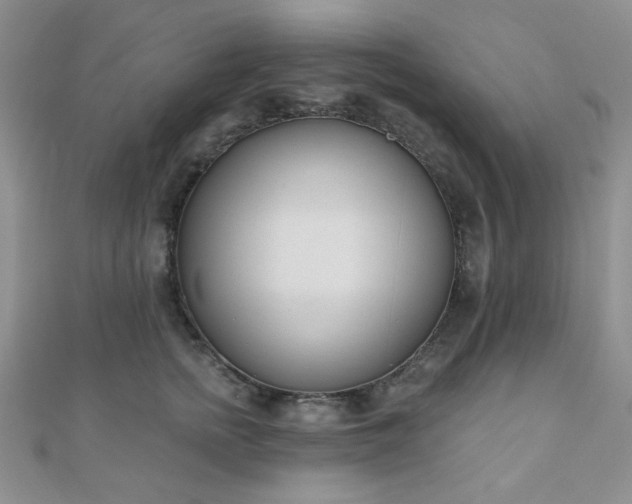 X0000110900758200906181322