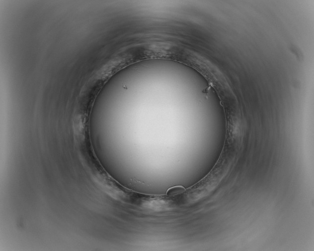 X0000110900759200906181322