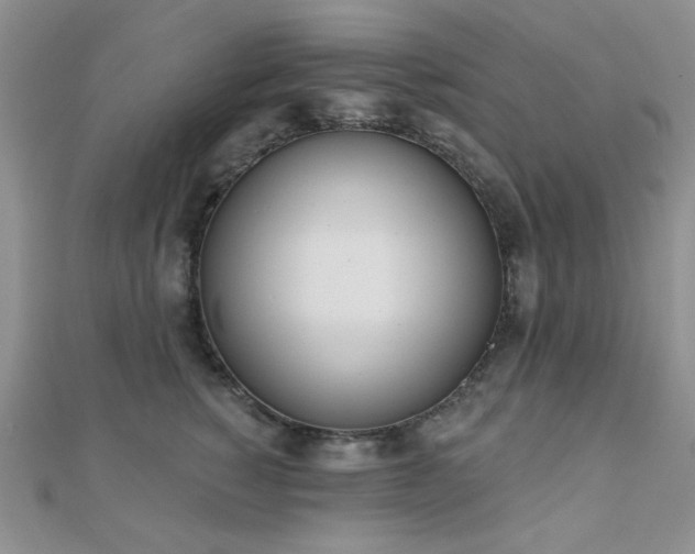 X0000110900760200906181322