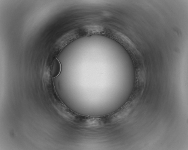 X0000110900761200906181322