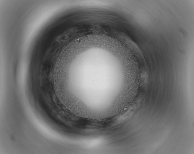 X0000110900765200906181322