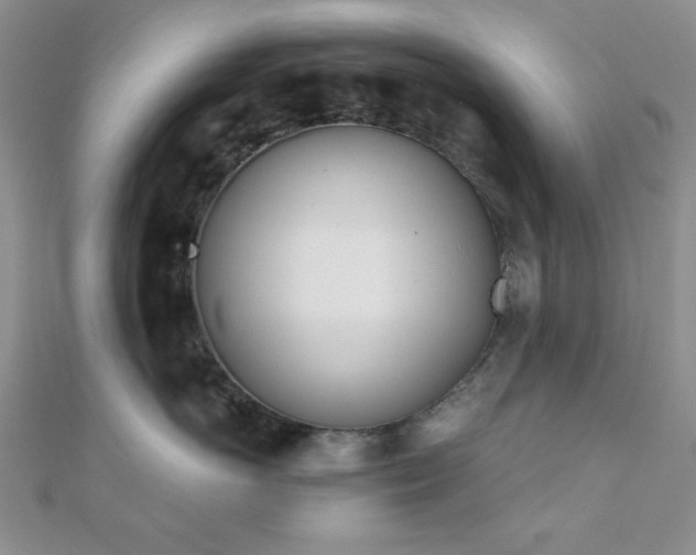 X0000110900766200906181322