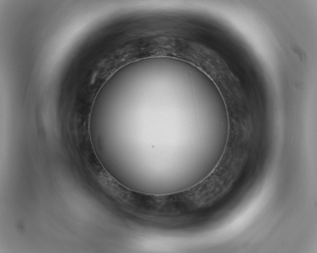 X0000110900767200906181322