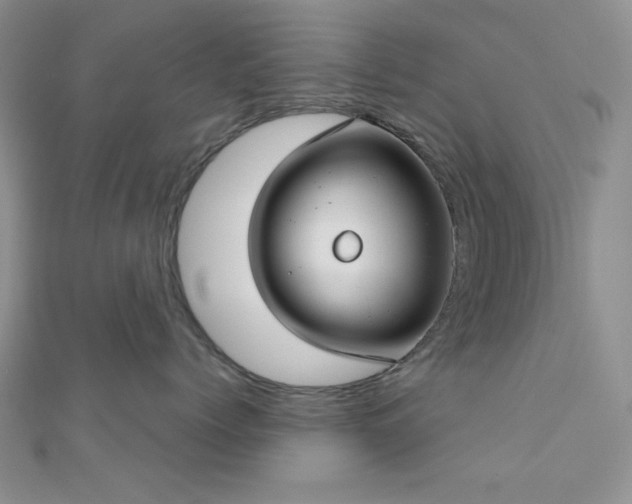 X0000110900768200906181322