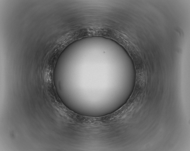X0000110900770200906181322