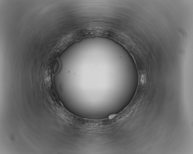 X0000110900771200906181322