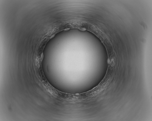 X0000110900772200906181322