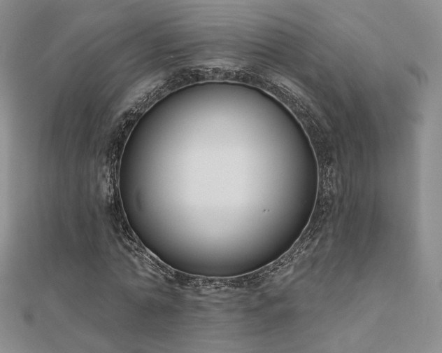 X0000110900774200906181322