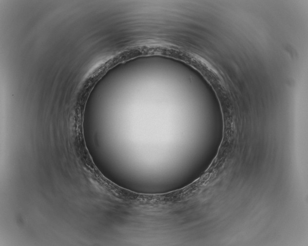 X0000110900775200906181322