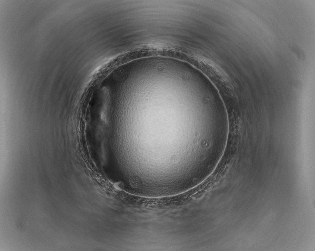 X0000110900776200906181322