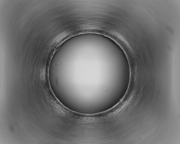 X0000110900777200906181322