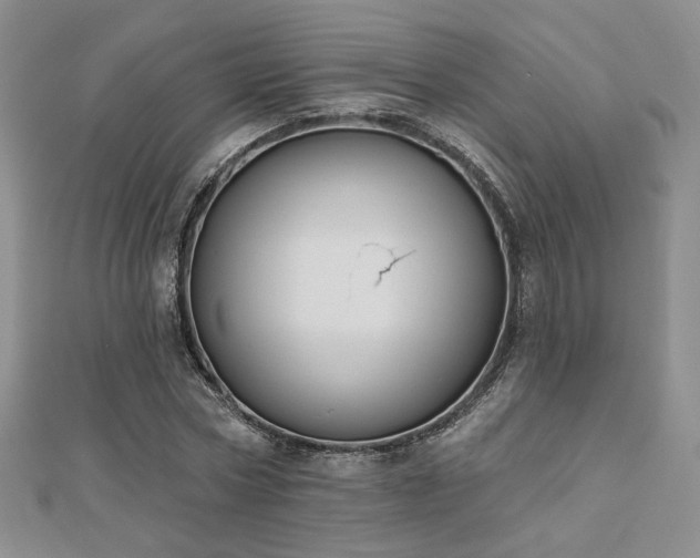 X0000110900778200906181322