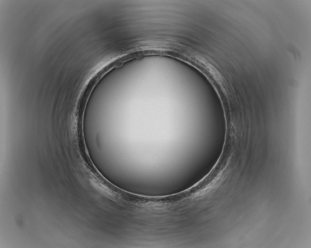 X0000110900779200906181322