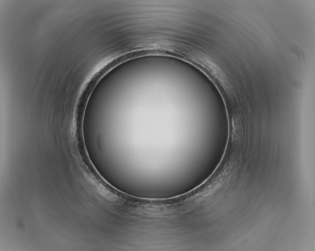 X0000110900780200906181322