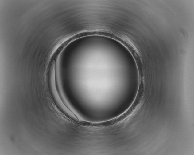 X0000110900781200906181322