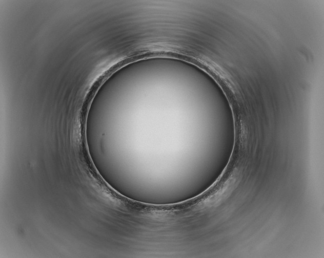 X0000110900782200906181322