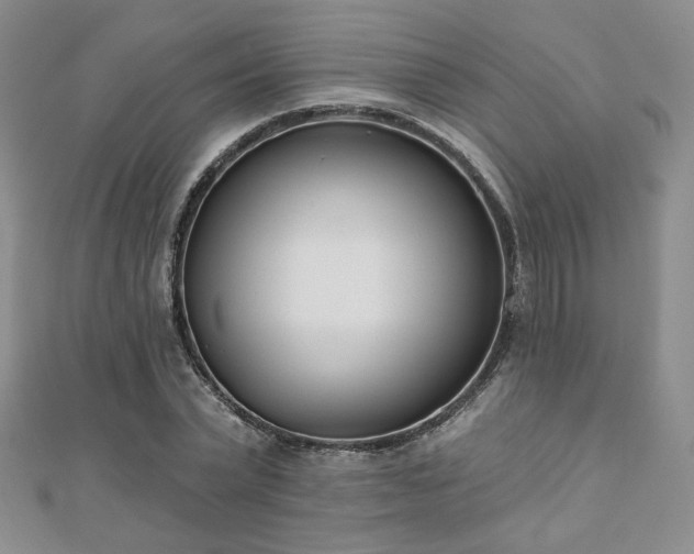 X0000110900783200906181322