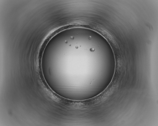 X0000110900784200906181322