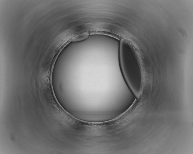 X0000110900785200906181322