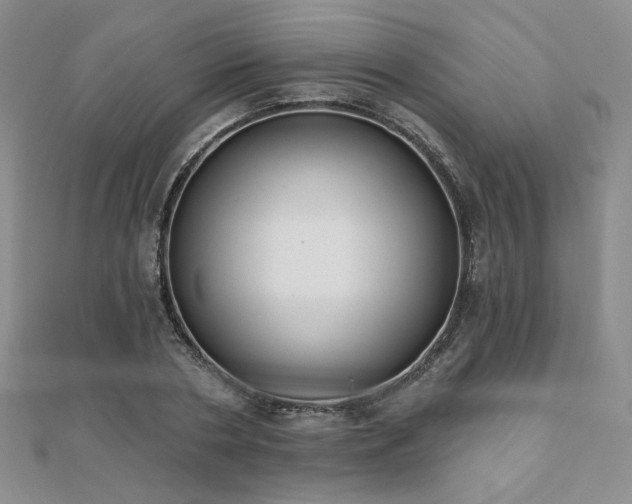 X0000110900786200906181322