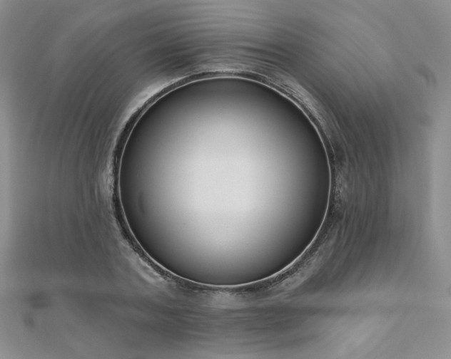 X0000110900787200906181322